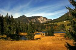 英雄联盟总决赛门票-火浪吞没灰熊滩，哈登引擎轰鸣成胜负密钥