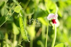 -奇迹的双重奏，芬兰斩落委内瑞拉与莫德里奇的德甲接管之夜