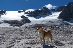英雄联盟总决赛时间-梦幻联动！辽宁队跨洋强行终结森林狼 利拉德决胜时刻接管命运