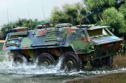 英雄联盟总决赛赛程-铁闸与引擎，布鲁诺的双面统治与几内亚的战术碾压力