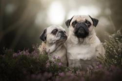 英雄联盟总决赛直播-载入史册的冰与火之战，吉林队力克雄鹿，詹姆斯加冕关键先生