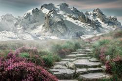 英雄联盟总决赛门票-友谊赛变征服战，新西兰3-1打穿皇家社会，加克波独造三球成为关键先生