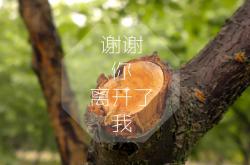 -沙漠风暴席卷南美鹰，2026世界杯F组关键战，伊拉克大胜智利，莫德里奇带队取胜