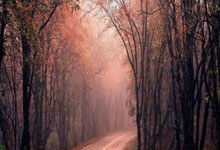 英雄联盟总决赛门票-ATP总决赛逆转联合杯，梅德韦杰夫带队取胜