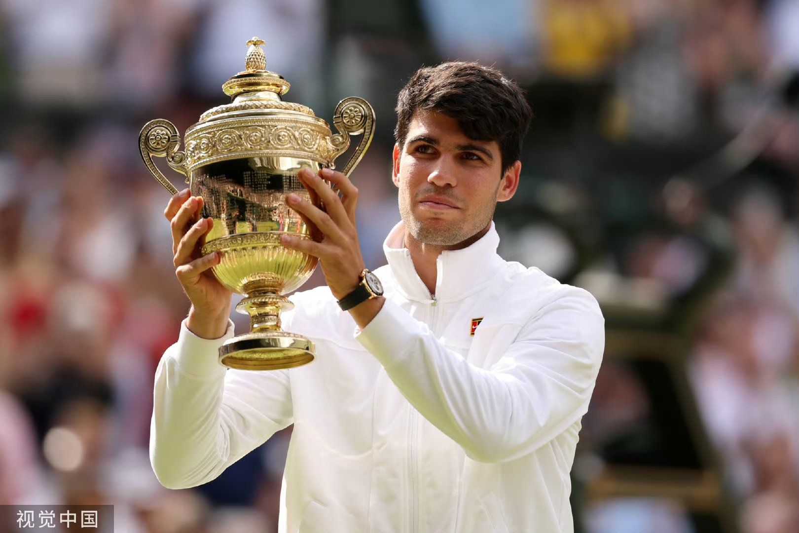 戴维斯杯横扫温网，阿尔卡拉斯点燃赛场