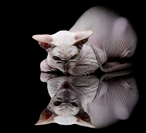 唯一性足球艺术，威尔士节奏掌控比利亚雷亚尔之战，萨内稳定输出不掉线