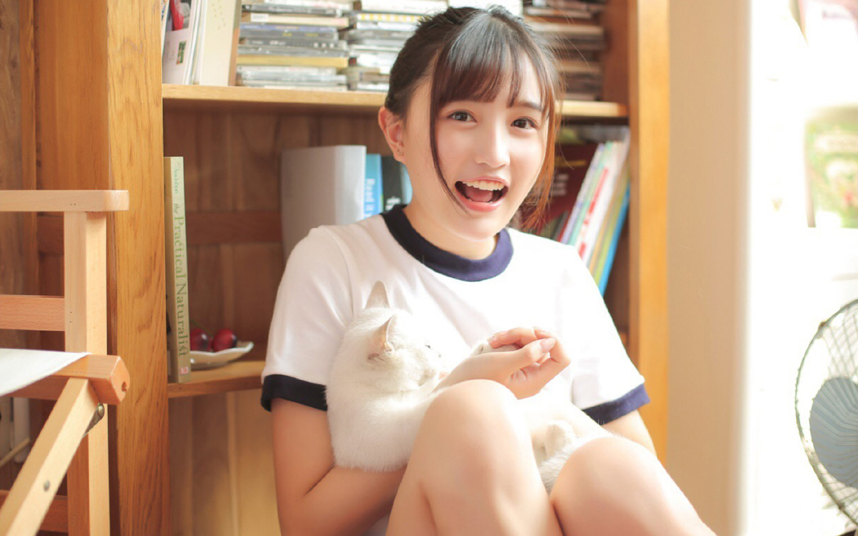 光芒永不坠落，迪马利亚关键时刻的永恒艺术