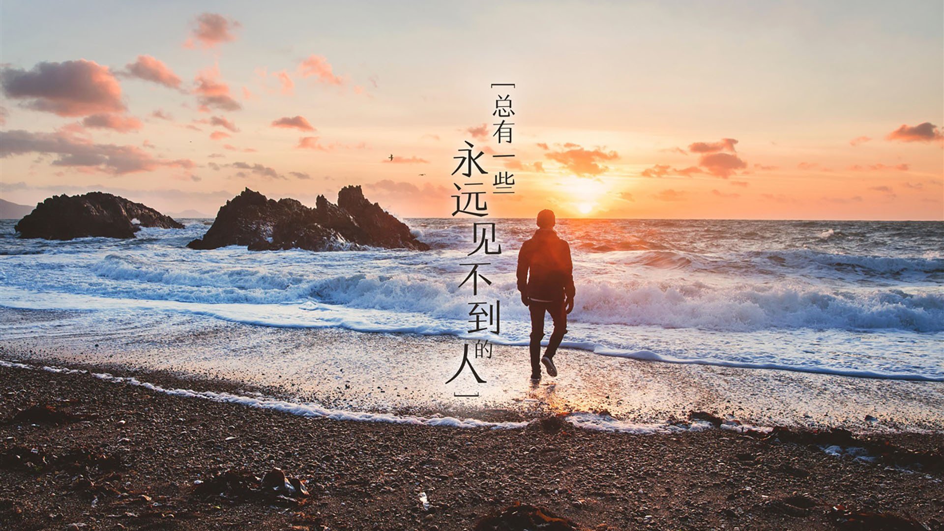 狙击枪与蜂群，范弗利特冷血猎杀，灰熊抢七终结黄蜂之刺