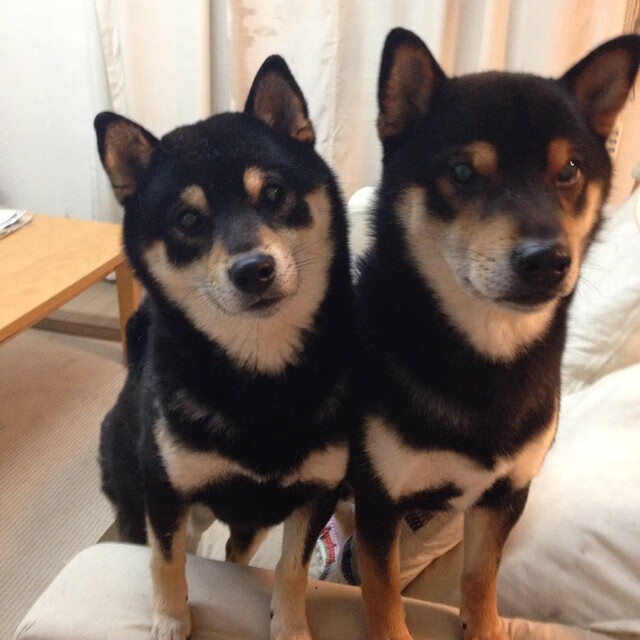 冰与火的对决，霍勒迪42分超神夜点燃赛场