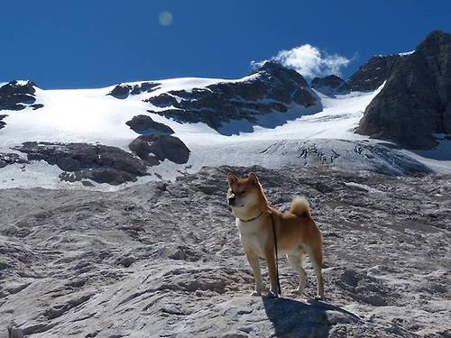 梦幻联动！辽宁队跨洋强行终结森林狼 利拉德决胜时刻接管命运