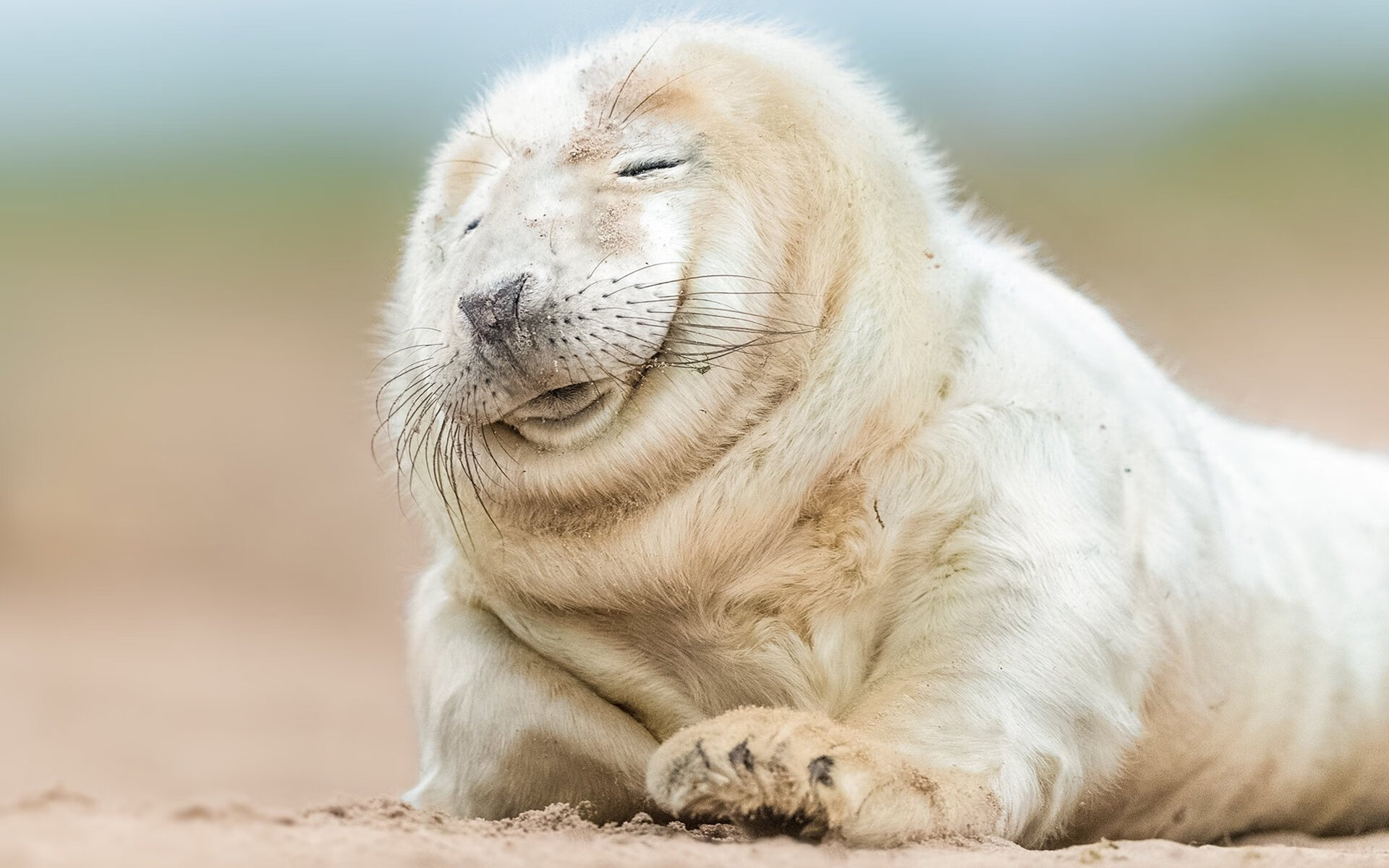 三色天撕裂白蓝风暴，阿根廷惊险绞杀塞维利亚，基耶萨从幽暗到光明的瞬间觉醒