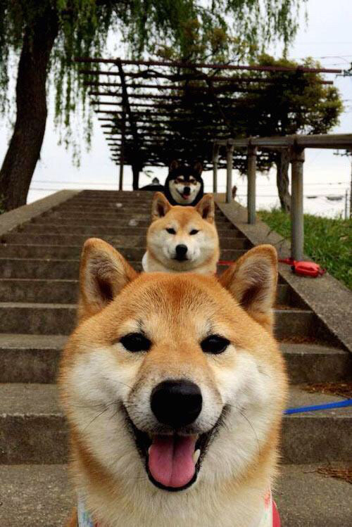 赛道轰鸣与球场倒计时,太阳的最后一圈绝杀