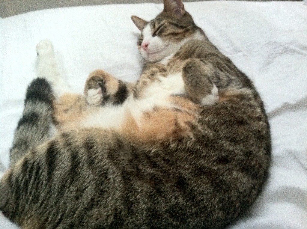 龙威震天，篡权登基，76人强势晋级背后，莫兰特数据全面爆炸成新王剑