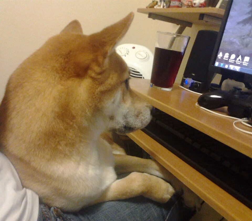 混凝土上的舞台，当皇家社会的锁链在亚平宁回响