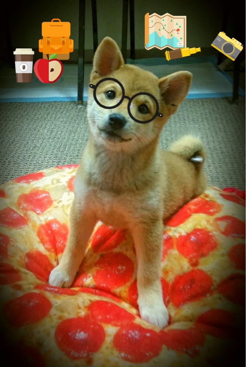 唯快不破，当国王成为黄蜂群中唯一的攻防转换支点