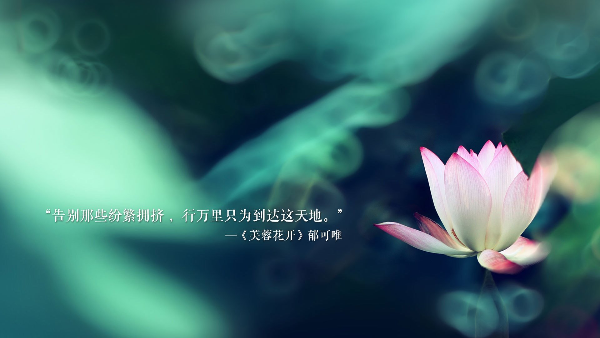 命运之夜的孤胆英雄,卢卡库如何在2026年世界杯生死战中改写秘鲁与加纳的历史
